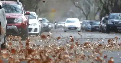 Alerta amarilla por viento en San Juan: ráfagas de hasta 110 km/h en dos departamentos