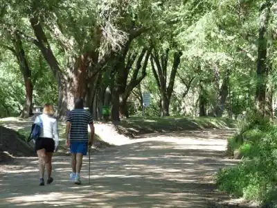 Dos senderos, dos desafíos: las caminatas gratuitas que se vienen en Los Reartes