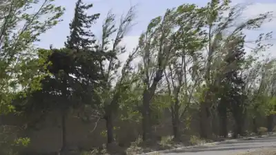 Ráfagas de hasta 70 km/h y un brusco descenso: el jueves llega con viento sur en San Luis