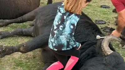 Llegó a la Rural una terapia que enamora y no te suelta
