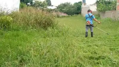 Terrenos baldíos sucios: las multas por metro cuadrado se triplicarían en Villa María