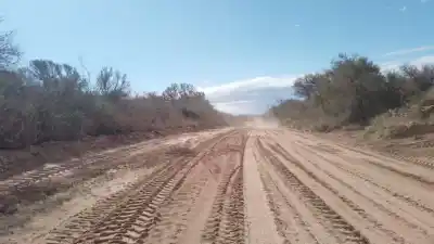 1,5 km de tierra: así recuperaron un camino clave para el campo