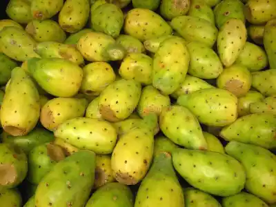 La fruta que Catamarca quiere meter en Europa y puede rendir 25.000 kilos por hectárea