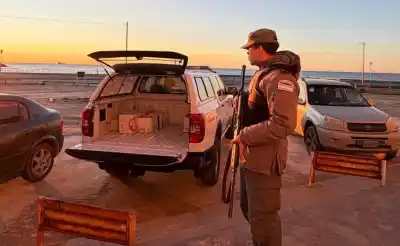 El horno que destruye sin dejar rastro: así desaparecen las drogas secuestradas en Comodoro