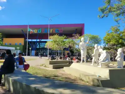 El salto del Pediátrico chaqueño: ya no hará falta ir a Buenos Aires para un trasplante de hueso