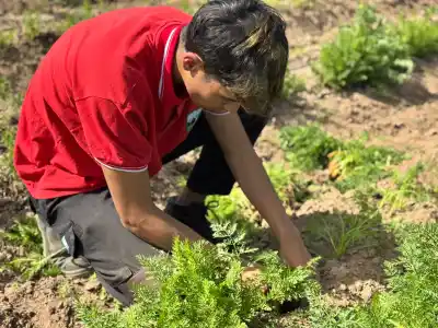 Alumnos de la Técnica Nº6 volvieron a Sol Puntano: qué hicieron en los módulos