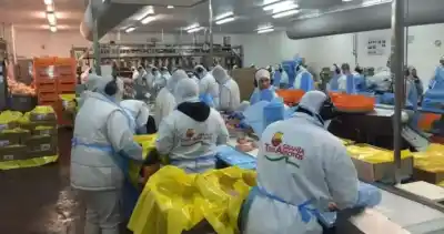 Granja Tres Arroyos: tras un mes de suspensiones, llegan los primeros telegramas de despido