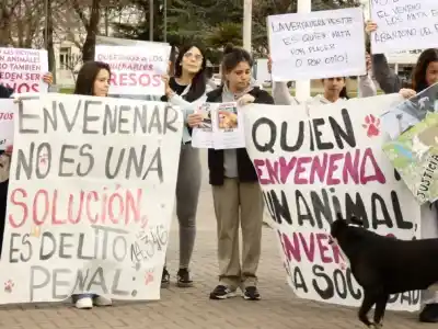 Duras críticas de un abogado a la causa por los perros envenenados: "Mucho biri biri, mucha prensa"