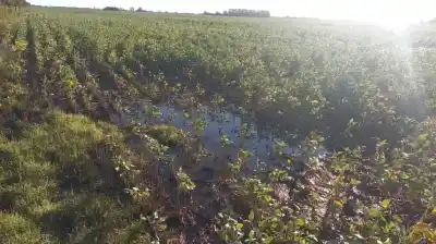 Lluvias en la región núcleo: El alivio llegó con fuerza, pero dejó un mapa de contrastes que sorprende