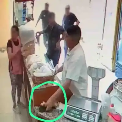 Robó un teléfono en Monteros y quedó grabado (VIDEO)