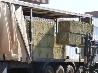 El movimiento imparable de la red logística de San Luis: más de 42.000 toneladas en un mes