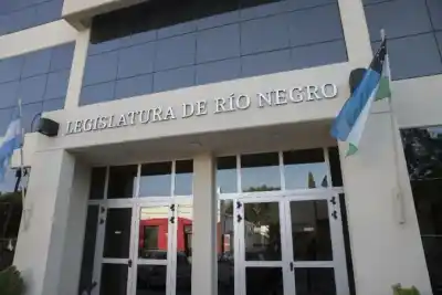 Nueva ley en Río Negro: el paso clave para no perder tiempo cuando un chico desaparece