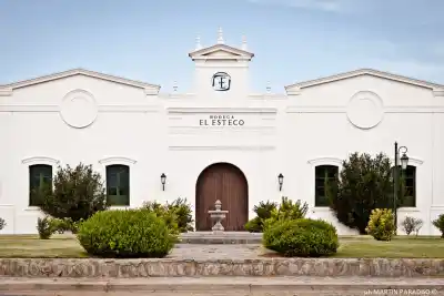 Cabernet de altura: la bodega salteña que se luce en el Día Mundial de la cepa