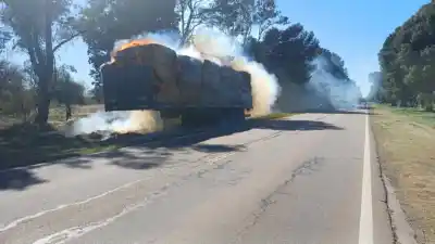 Un camión con fardos se prendió fuego en la ruta 5: el conductor alcanzó a hacer una maniobra clave