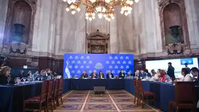 El Senado avanza con una reforma clave para los biocombustibles: qué pasa con los cortes