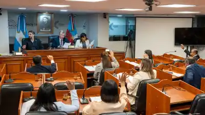 El Senado aprobó tres leyes clave para salud, seguridad y derechos humanos