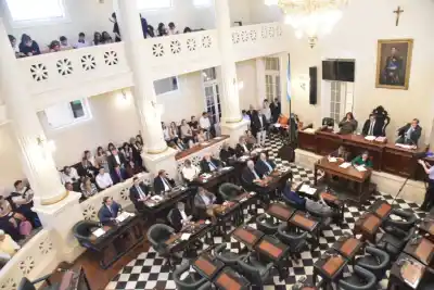 Ataques de yaguaretés a ganado: el Senado aprobó un plan que obliga al Estado a pagar