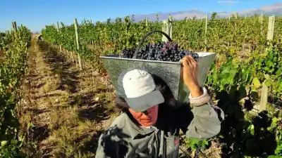 El Gobierno dejó vencer una medida clave y 120.000 puestos rurales peligran