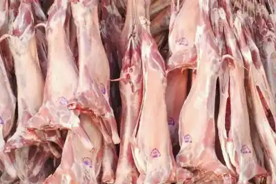 El chivito del norte neuquino desembarca en Confluencia de Sabores con precios para llevar