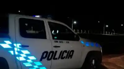 Un perro apareció con un brazo humano en la boca: el hallazgo que conmocionó a un barrio