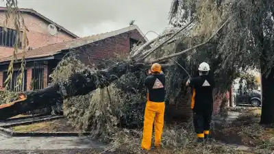 Un temporal dejó a miles a oscuras en el conurbano: el impresionante saldo de destrozos que provocó
