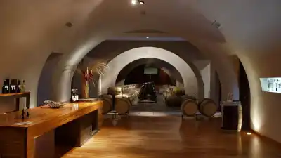 El secreto de Bodega Malma para llevar la Patagonia al mundo