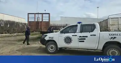 Robaron un semirremolque en plena noche: el insólito lugar donde lo encontraron