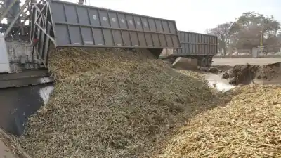 La zafra argentina ya superó las 14,9 millones de toneladas de caña molida
