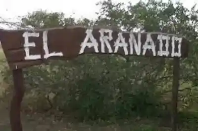 El Arañado: tres días de fiesta, música y fe para honrar a San Alberto