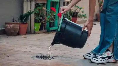 Alerta en San Juan: por qué los huevos del mosquito del dengue sobreviven al invierno