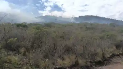 Incendio en La Calera: lograron contener las llamas en Rumi