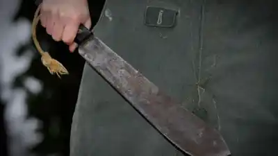Atacaron a una perra con un machete y el dato que indigna a todo un barrio