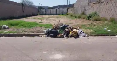 Quitaron los contenedores en un barrio de la Capital y ahora denuncian un foco infeccioso