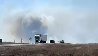 Un incendio cerca de la RN 9 genera alerta: el humo complica la circulación