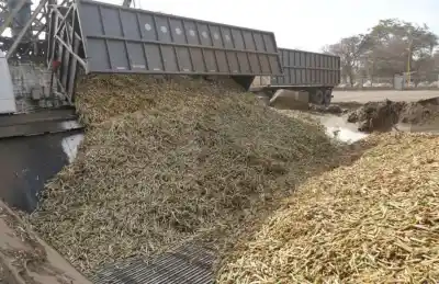 La zafra argentina ya superó las 15 millones de toneladas de caña molida