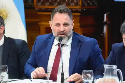 Proponen en Diputados un plan para actuar contra los incendios antes de que ardan