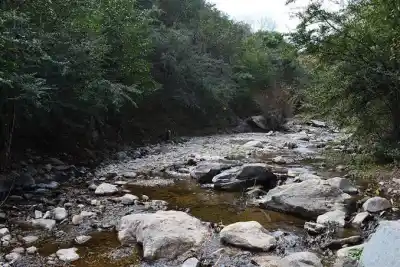 La medida que aprobó Valle Hermoso para frenar el avance sobre su bosque nativo