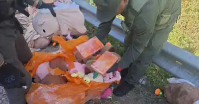 Viajaba en micro con 55 kilos de droga escondidos en peluches y la atraparon en un control