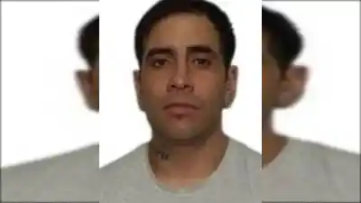El ladrón que escaló una medianera, robó bicicletas y terminó amenazando al dueño de una casa
