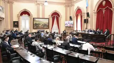 Violencia de género: el Senado extendió la emergencia y la clave ahora está en Diputados