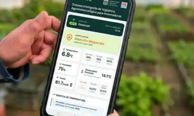 La inteligencia artificial que le avisa a los productores de San Luis cuándo viene una helada