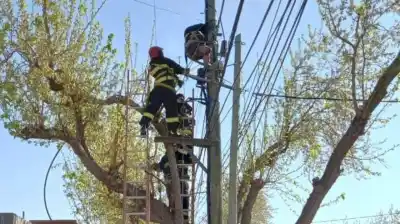 Robaron 1.200 metros de cable y dejaron a oscuras a todo un departamento: el doble golpe que complicó la reparación