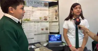 Crearon un cuero ecológico a partir de la penca de tuna y ya tiene su primer uso cultural