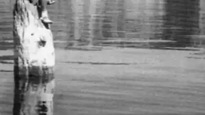 El misterio del Viejo del Agua: dónde aparece y por qué todos hablan de él