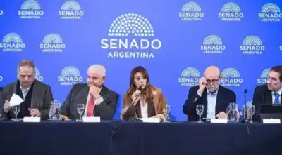 El Senado firmó el dictamen que sube los biocombustibles: qué pasa con el corte en naftas