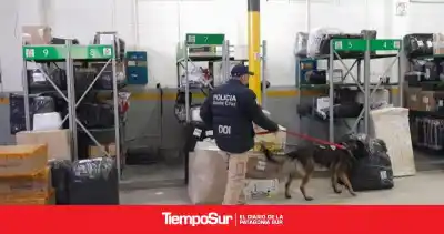 Un perro policía marcó una valija en un micro, pero el dueño siguió viaje: el motivo