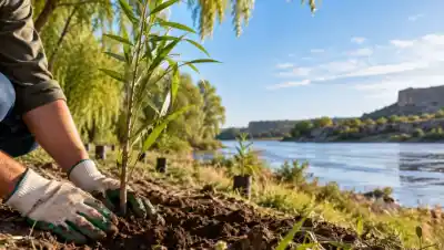 Un árbol nativo en peligro: así buscan recuperarlo en Río Negro