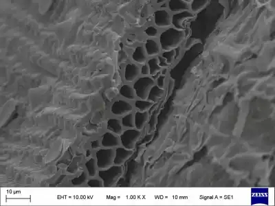 Microplásticos en el agua: el proyecto escolar que los quiere atrapar con residuos