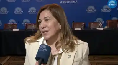 El detalle escondido en el nuevo marco de biocombustibles que puede cambiar la producción en Tucumán