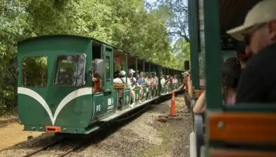 El tren que ya movió a 30 millones: Iguazú es sede del congreso ferroviario más importante de Latinoamérica